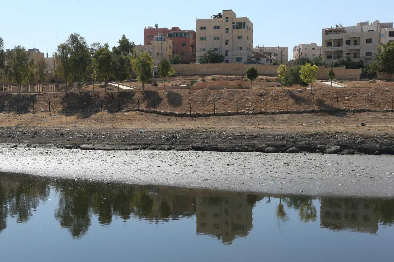 جانب من بركة الرصيفة "البيبسي". صلاح ملكاوي / المملكة