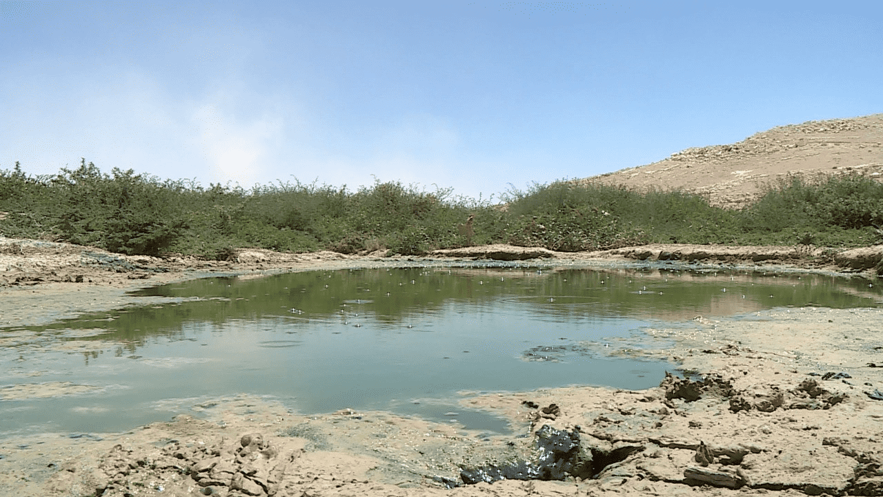 مياه عادمة في قضاء الظليل بعد أن أفرغ أصحاب صهاريج حمولتهم بشكل عشوائي. (علاء القرعان/ المملكة)