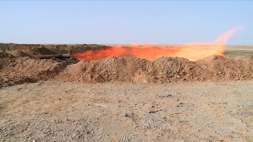 صورة أرشيفية لجانب من حقل الريشة. (المملكة)