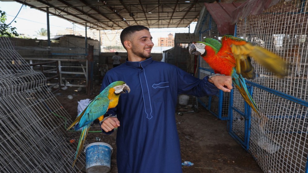 حارس يعتني بالحيوانات في حديقة حيوان في خان يونس في قطاع غزة، 22 أيار/مايو 2024. (أ ف ب)