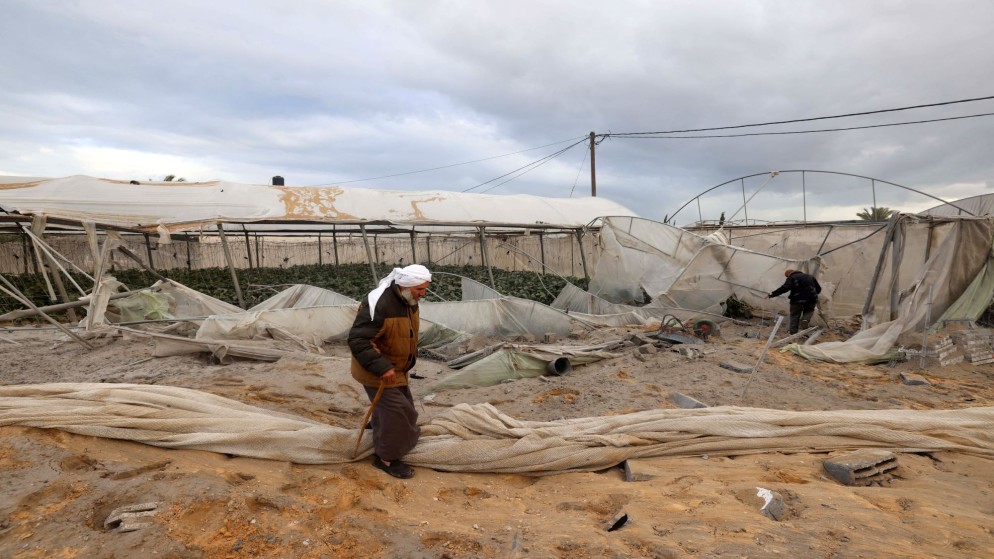 فلسطيني في أرض دمرها الاحتلال الإسرائيلي. (أ ف ب)