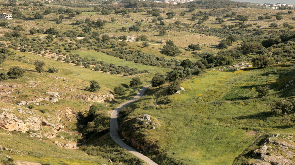 صورة أرشيفية للربيع. (المملكة/صلاح ملكاوي )