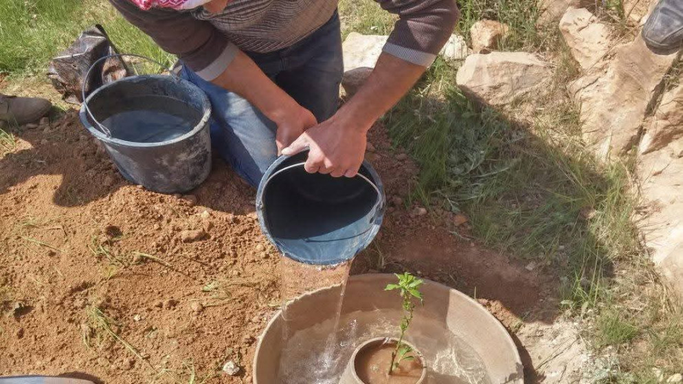 مزارع في أحد الأراضي الزراعية من خلال الاستعانة بتقنية "الشرنقة". (وزارة الزراعة)