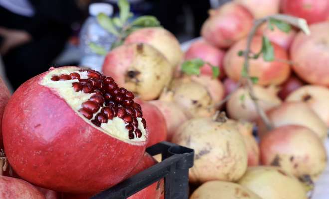 مهرجان الرمان والمنتجات الريفية في إربد