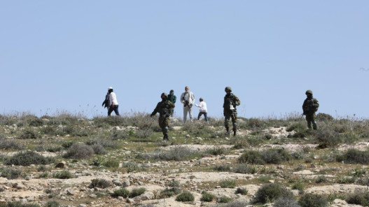  3 إصابات جراء اعتداء مستوطنين بالضرب على فلسطينيين في طولكرم 