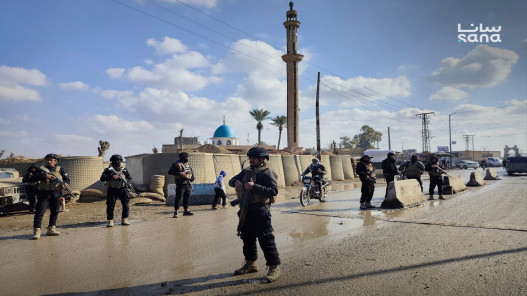  "الداخلية السورية": القبض على 81 عنصرا من تنظيم "داعش" الإرهابي فروا من سجن الشدادي 