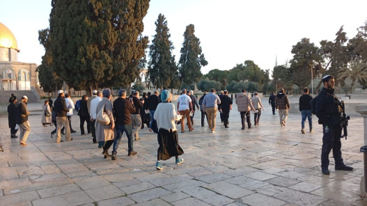  عشرات المستوطنين يقتحمون المسجد الأقصى بحماية الاحتلال 