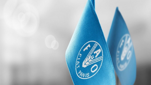  الفاو: أسعار الغذاء العالمية قد ترتفع أكثر إذا استمرت حرب إيران 