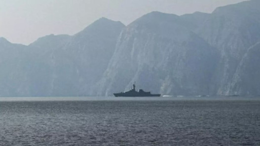  أنقرة تقول إن سفينة ثانية تابعة لشركة تركية عبرت مضيق هرمز 