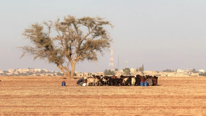 منتدى الاستراتيجيات: الأردن في المرتبة قبل الأخيرة عالميا في مؤشر مدركات المناخ 2022